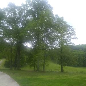 Meet your Posher, Billy